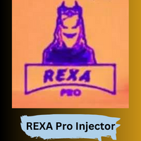 REXA Pro Injector v1.100x Free For Download